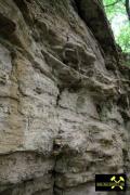 Steinbruch am Schlossberg bei Bornstedt, Sachsen-Anhalt, (D) (6) 28. Juni 2015 (Unteres Quarzitkonglomerat - Hornberg-Formation).JPG